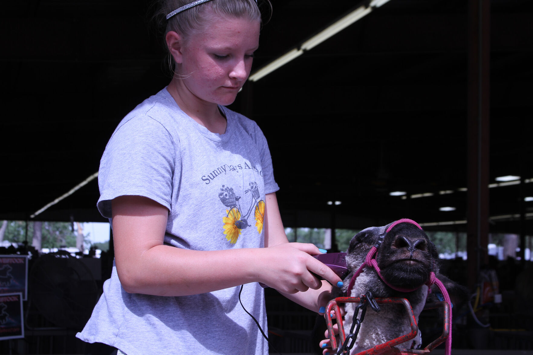 PHOTOS: Scenes from the Scotts Bluff County Fair